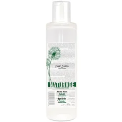 AGUA MICELAR NATURAGE POSTQUAM200 ML