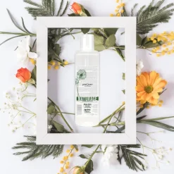 AGUA MICELAR NATURAGE POSTQUAM200 ML