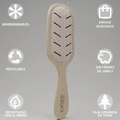CEPILLO BIODEGRADABLE PLANO