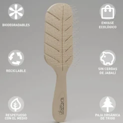 CEPILLO RECICLABLE ESPIGA