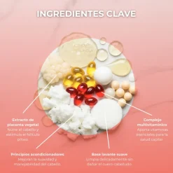 CHAMPU ANTICAIDA SHOCK 500 ML.