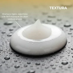 CHAMPU ANTIGRASA 250 ML