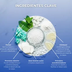 CHAMPU CASPA SHOCK 500 ML.