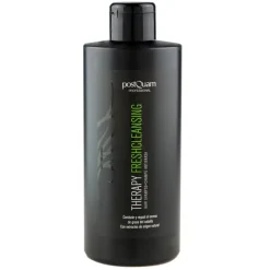 CHAMPU GRASA FRESH CLEANSING 400 ML