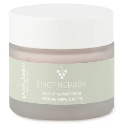 CREMA DE NOCHE VINOCOSMETICA POSTQUAM 50ML